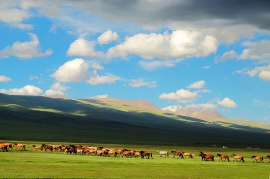 ��ɽ֮��-��������