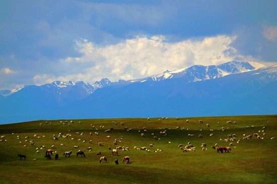 ��ɽ֮��-��������