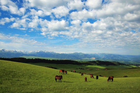 ��ɽ֮��-��������