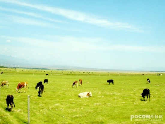 �����̷��-��Ȼ�羰