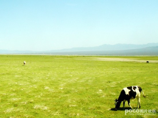 �����̷��-��Ȼ�羰