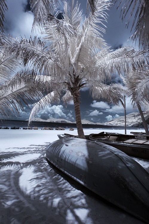 Ҭ�纣���´���-��Ȼ�羰