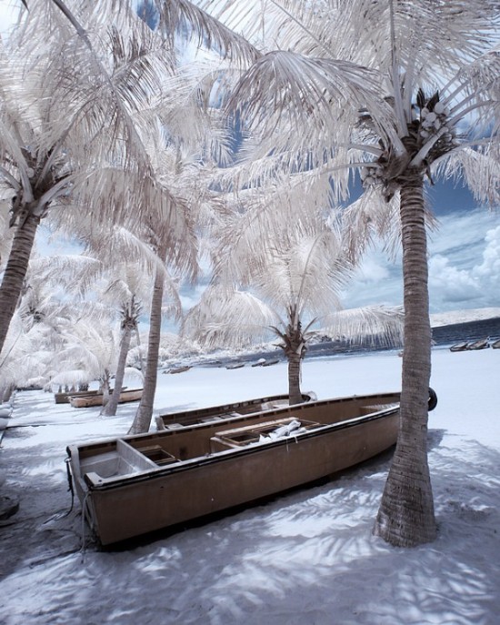 Ҭ�纣���´���-��Ȼ�羰