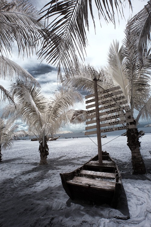 Ҭ�纣���´���-��Ȼ�羰