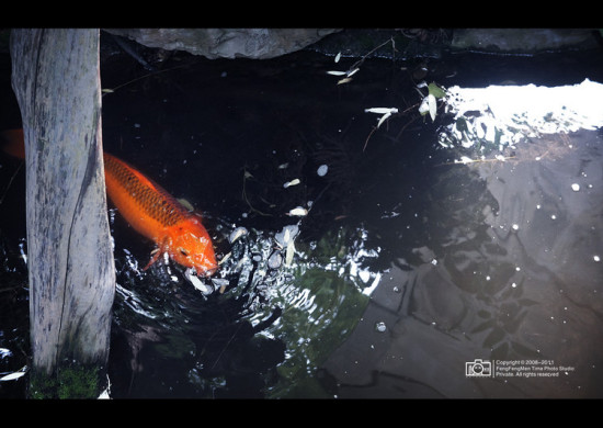 ӡ���츮��1������ƪ-������Ӱ