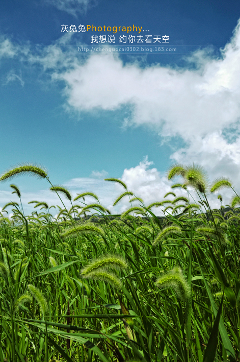 �����������-��Ȼ�羰