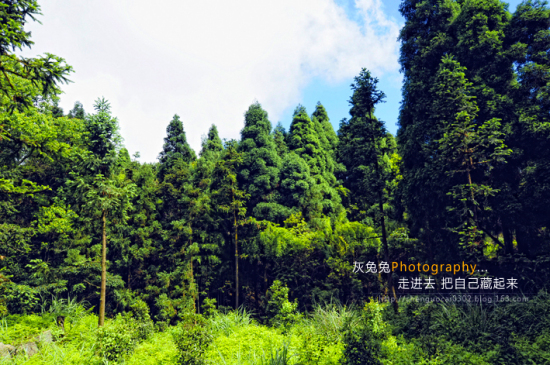 �����������-��Ȼ�羰