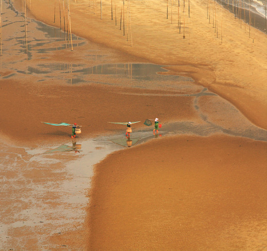 ϼ�ֹ�Ӱ-��Ȼ�羰