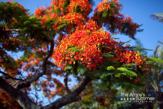 ʢ�Ĺ�����<span class=lxw>[ע: ������-������λ�ڸ���ʡ���������ϣ������Ÿ�����������1000��֮ң��������һ�пվ�ʯ�������Ĵ�������ģ������������족��]</span>-������Ӱ