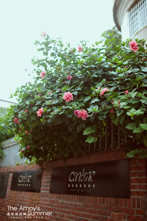 ʢ�Ĺ�����-������Ӱ