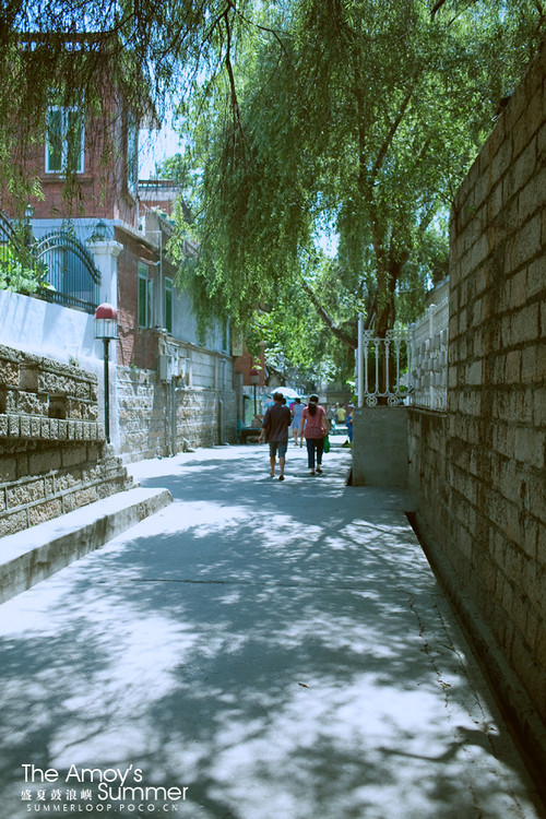 ʢ�Ĺ�����-������Ӱ