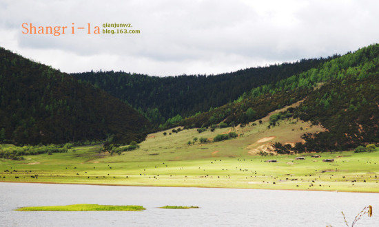 ���������ۻ���9��������Ǹ�����-���ϵ���