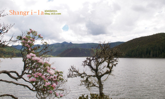 ���������ۻ���9��������Ǹ�����-���ϵ���