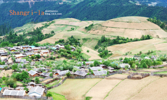 ���������ۻ���9��������Ǹ�����-���ϵ���