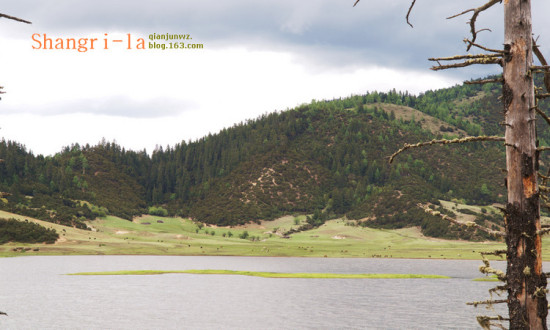 ���������ۻ���9��������Ǹ�����-���ϵ���