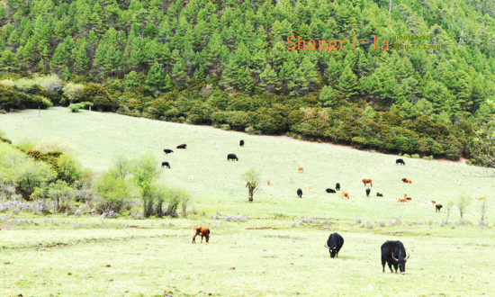 ���������ۻ���9��������Ǹ�����-���ϵ���