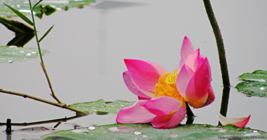 ����������һ��-��Ȼ�羰