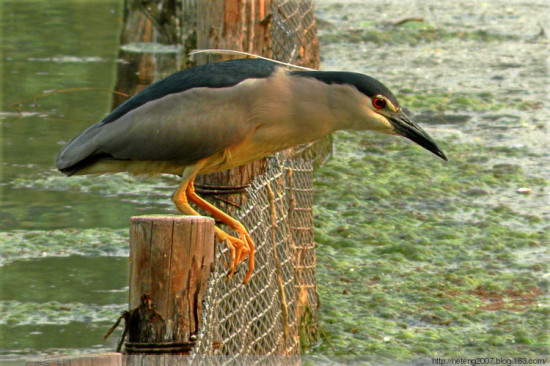 ����������һ��-��Ȼ�羰