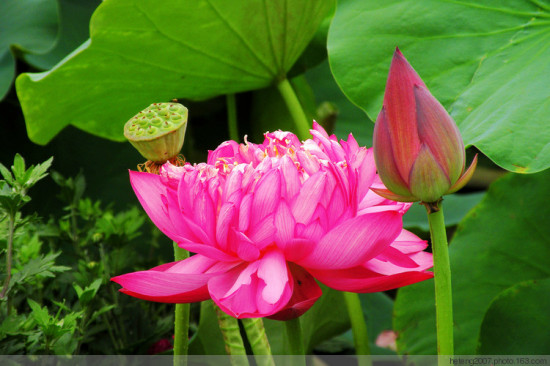 ����������һ��-��Ȼ�羰