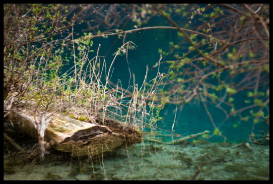 ���׾�կ-���ϵ���