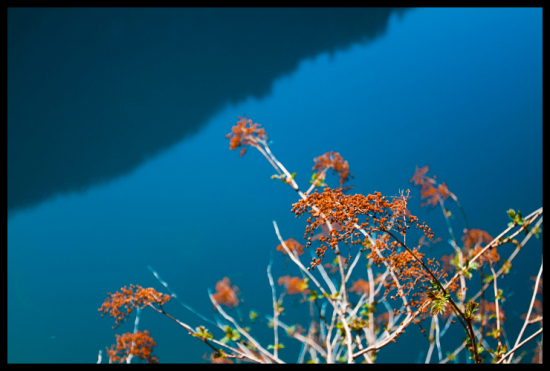 ���׾�կ-���ϵ���