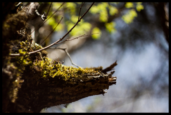 ���׾�կ-���ϵ���