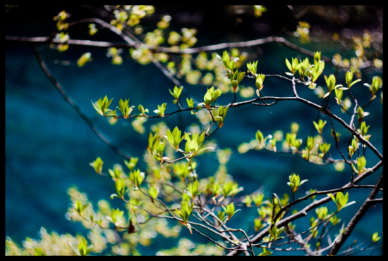 ���׾�կ-���ϵ���