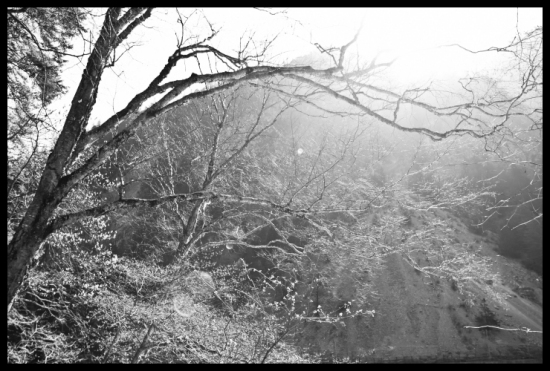 ���׾�կ-���ϵ���