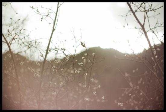 ���׾�կ-���ϵ���