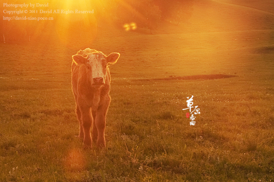 ��ԭ�������ϡ�-��Ȼ�羰