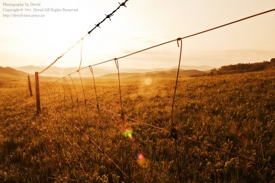 ��ԭ�������ϡ�-��Ȼ�羰