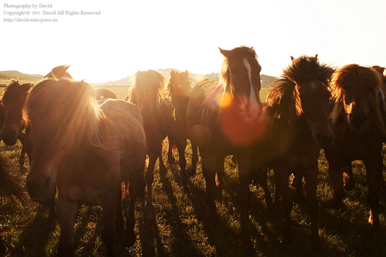 ��ԭ�������ϡ�-��Ȼ�羰