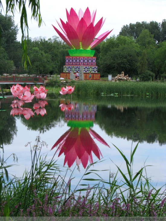 ����Բ��԰�ɻ���-ֲ�ﻨ��