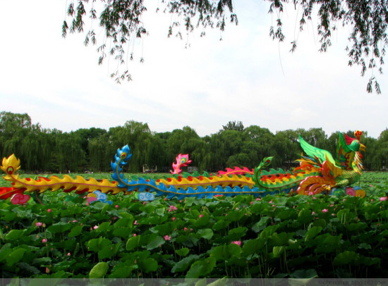 ����Բ��԰�ɻ���-ֲ�ﻨ��