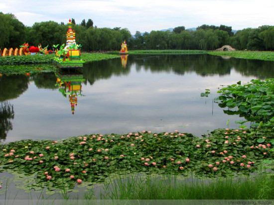 ����Բ��԰�ɻ���-ֲ�ﻨ��