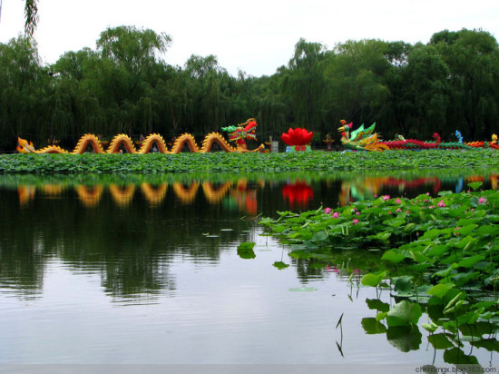 ����Բ��԰�ɻ���-ֲ�ﻨ��