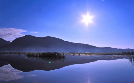 �������к�ʪ�ر�����-���ϵ���