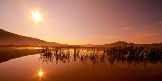 �������к�ʪ�ر�����-���ϵ���