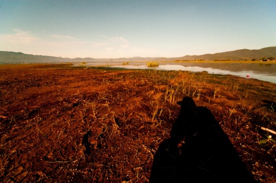 �������к�ʪ�ر�����-���ϵ���