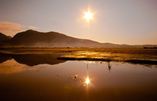 �������к�ʪ�ر�����-���ϵ���