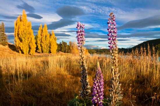 �������������ϵ���ɫ-��Ȼ�羰