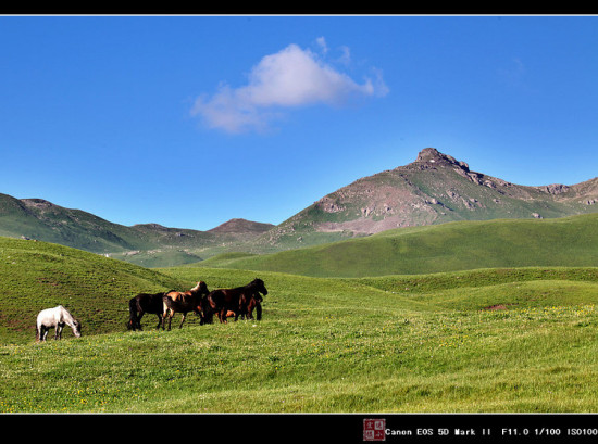 ɽ���Ƕ�-��Ȼ�羰