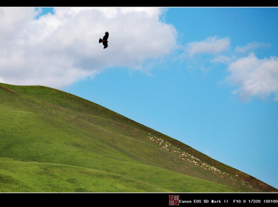 ɽ���Ƕ�-��Ȼ�羰