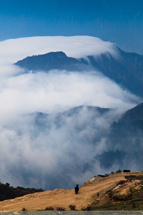 ����ţ��ɽ-��Ȼ�羰