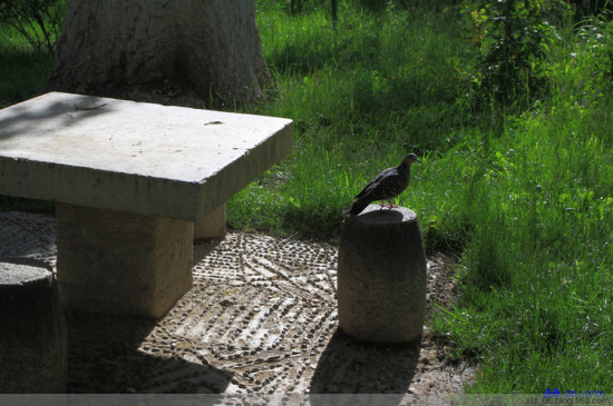 �޲��ֿ�-��Ȼ�羰