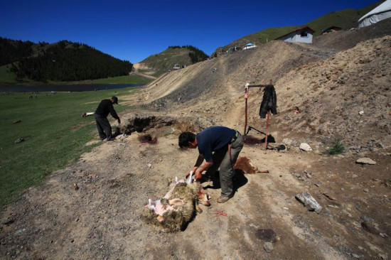 �½���Ӱ-��������