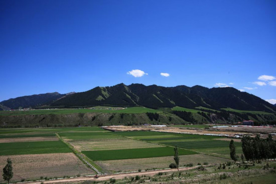 �½���Ӱ-��������