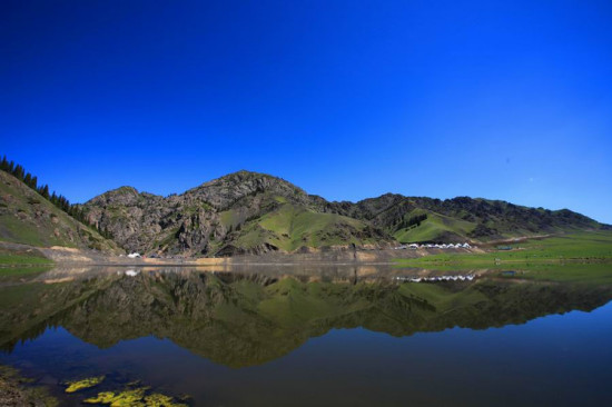 �½���Ӱ-��������