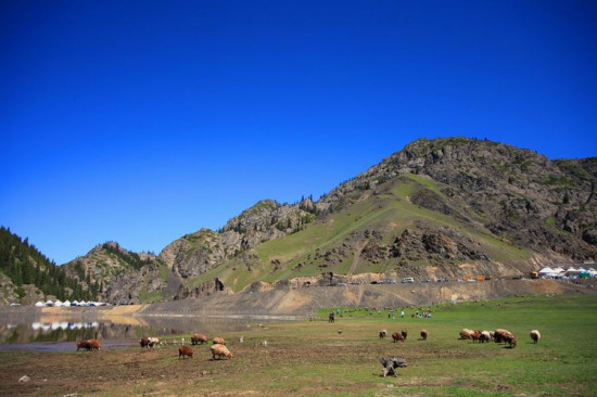 �½���Ӱ-��������