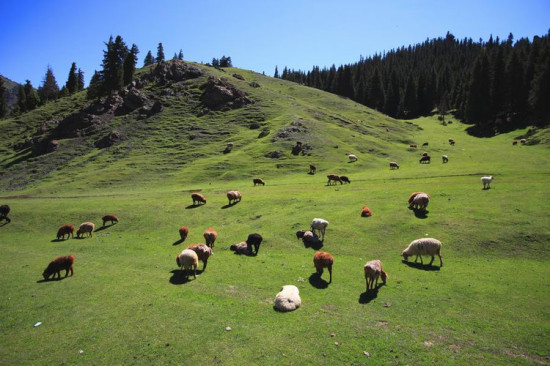 �½���Ӱ-��������